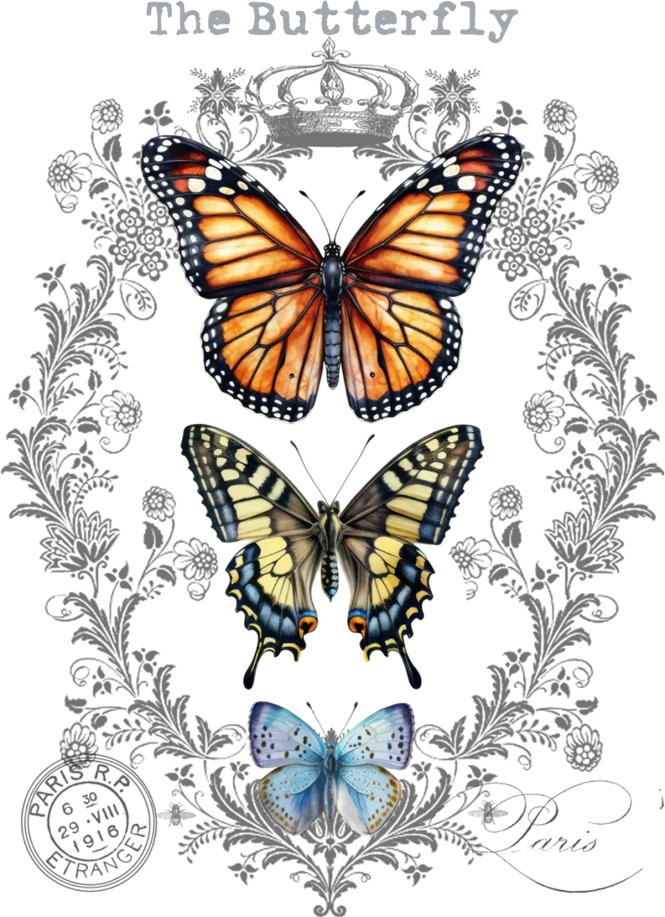 Avery Lane Gifts Vintage Butterflies Paris T-shirt bomuld sommerfugl