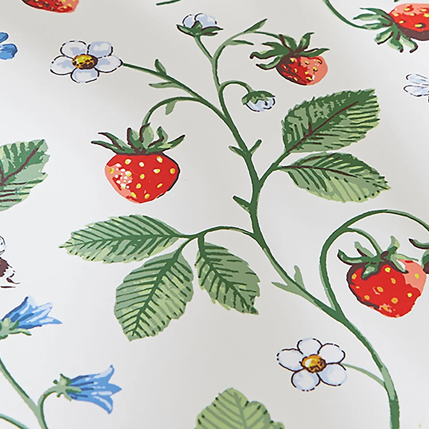 Ulster Weavers Strawberry Patch dækkeservietter 4-pak grøn