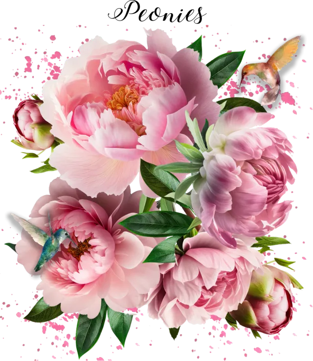 Avery Lane Gifts Spring Garden Peonies Flowers plakat blomstermotiv