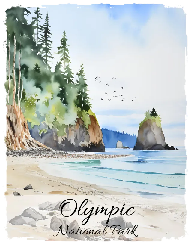 Avery Lane Gifts Olympic National Park Washington T-shirt bomuld