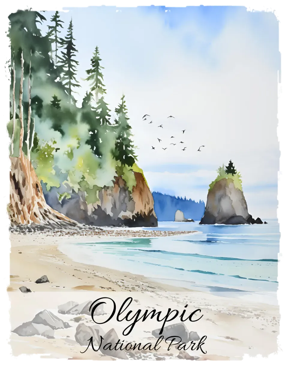 Avery Lane Gifts Olympic National Park Washington T-shirt bomuld