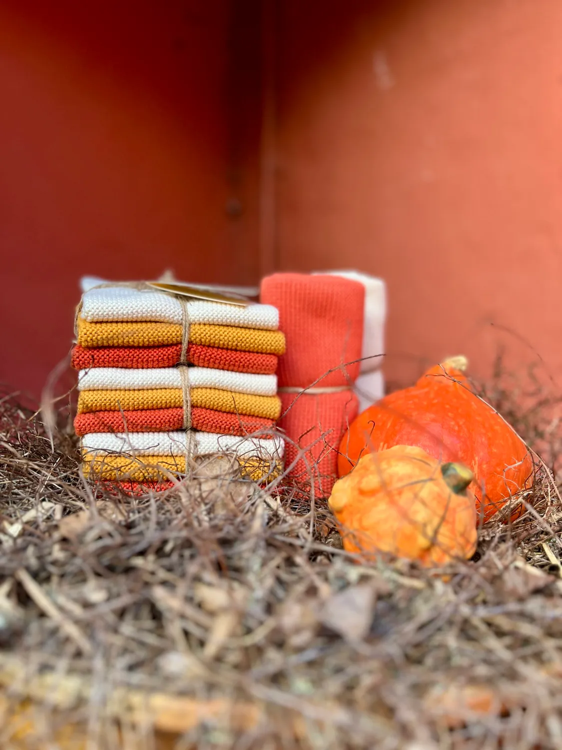 Solwang karklude Pumpkin Kombi økologisk 3 stk
