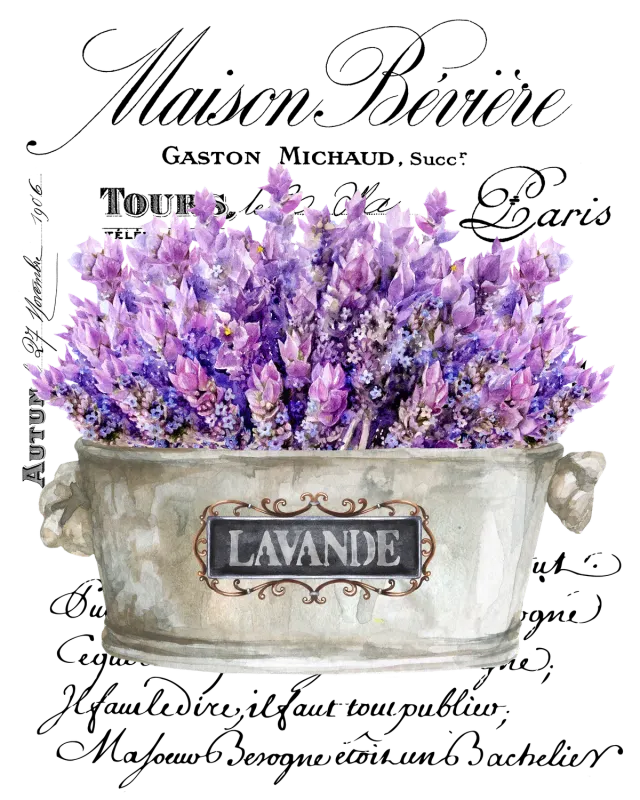 Avery Lane Gifts Vintage French Lavender Paris plakat