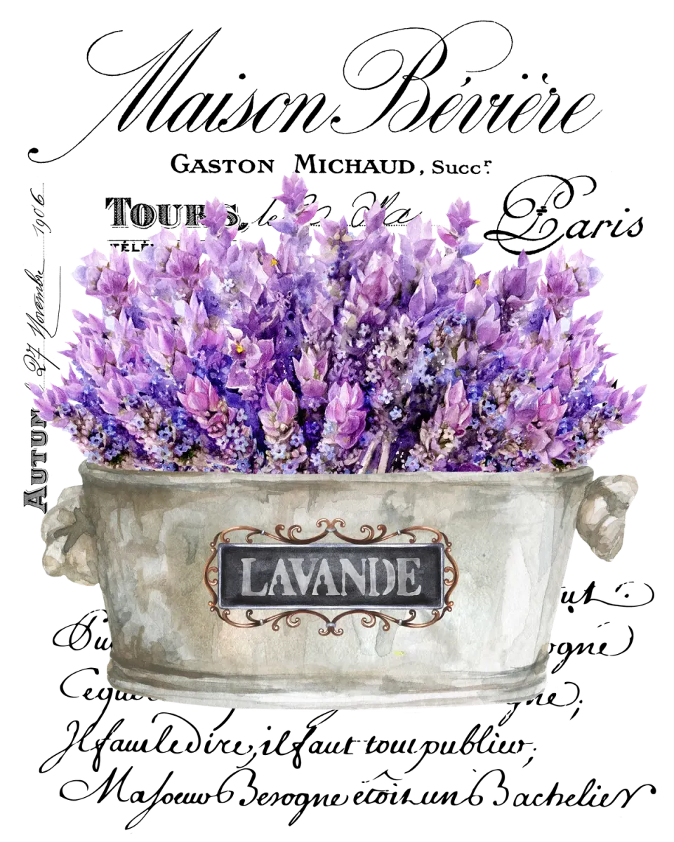 Avery Lane Gifts Vintage French Lavender Paris plakat