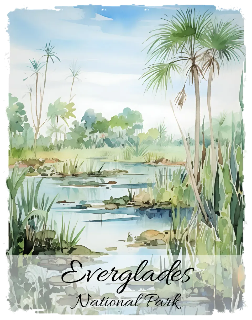 Avery Lane Gifts Everglades Florida souvenir 2024 motiv