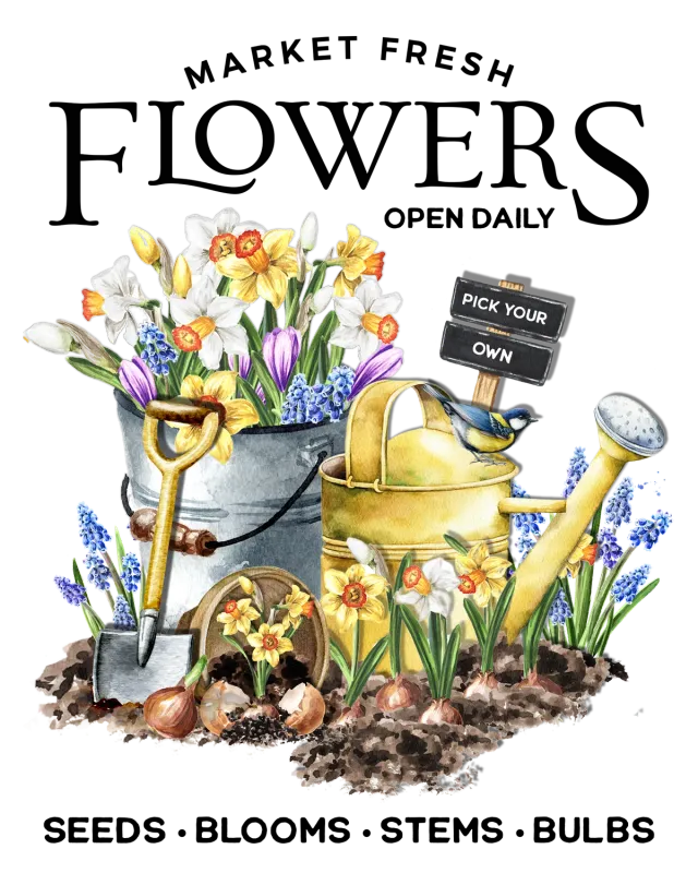 Avery Lane Market Fresh Flowers Daffodils plakat gule blomster