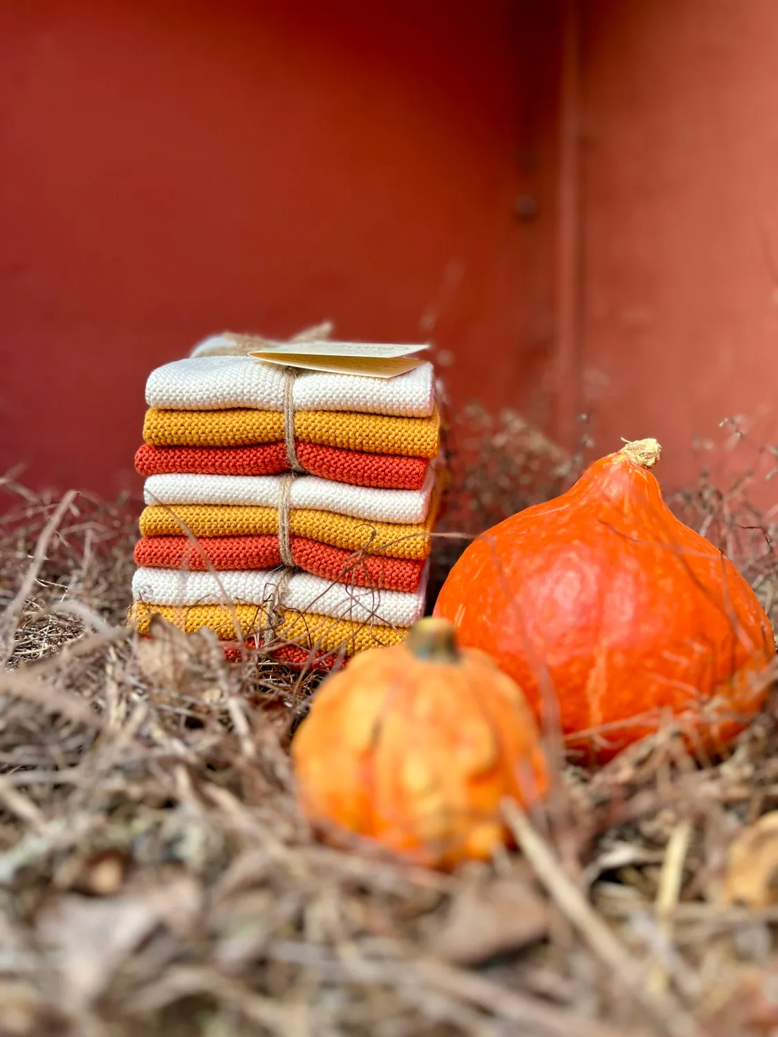 Solwang karklude Pumpkin Kombi økologisk 3 stk
