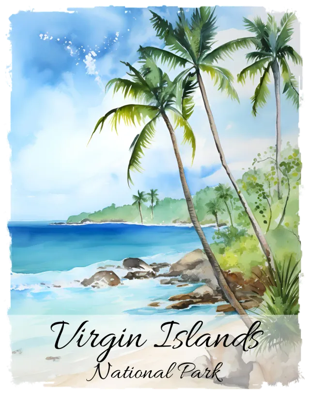 Avery Lane Virgin Islands National Park t-shirt hvid