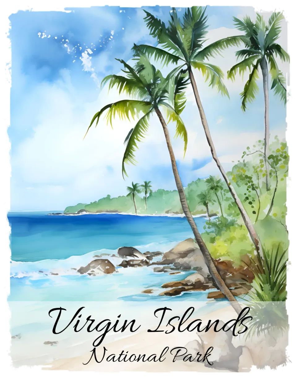 Avery Lane Virgin Islands National Park t-shirt hvid