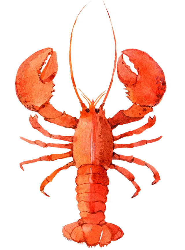 Avery Lane Gifts Maine Lobster køleskabsmagnet kystmotiv