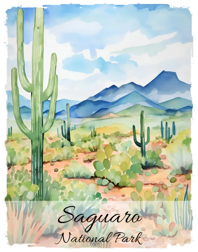 Avery Lane Gifts Saguaro National Park T-shirt med tryk