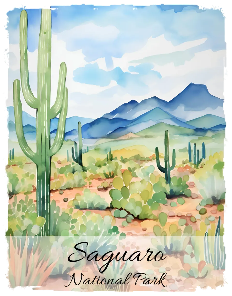 Avery Lane Gifts Saguaro National Park T-shirt med tryk