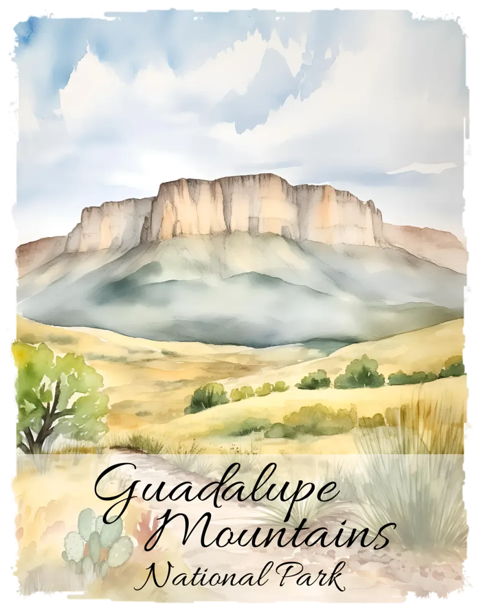 Avery Lane Gifts Guadalupe Mountains souvenir Texas