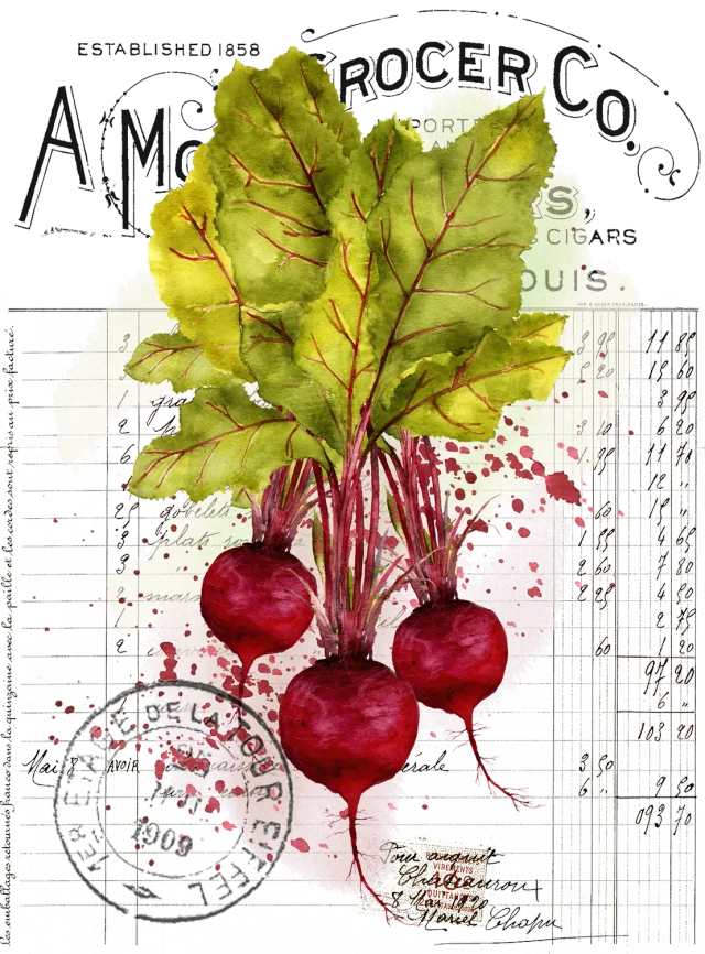 Avery Lane Gifts Vintage Farmhouse Beets viskestykke grøntsager