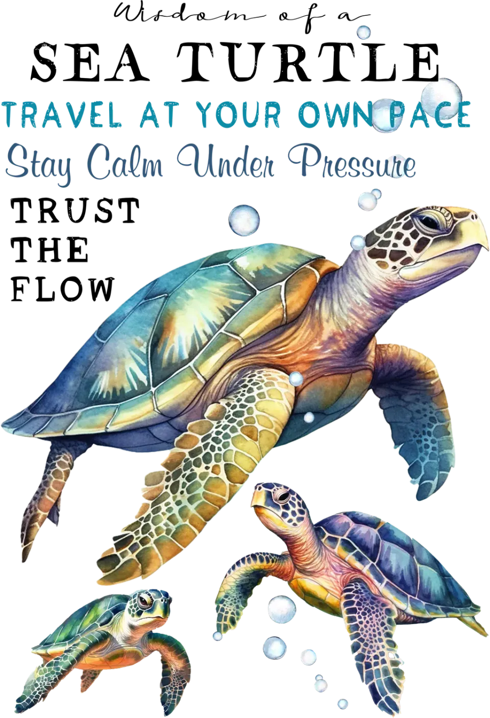 Avery Lane Gifts Coastal Sea Turtle t-shirt havmotiv