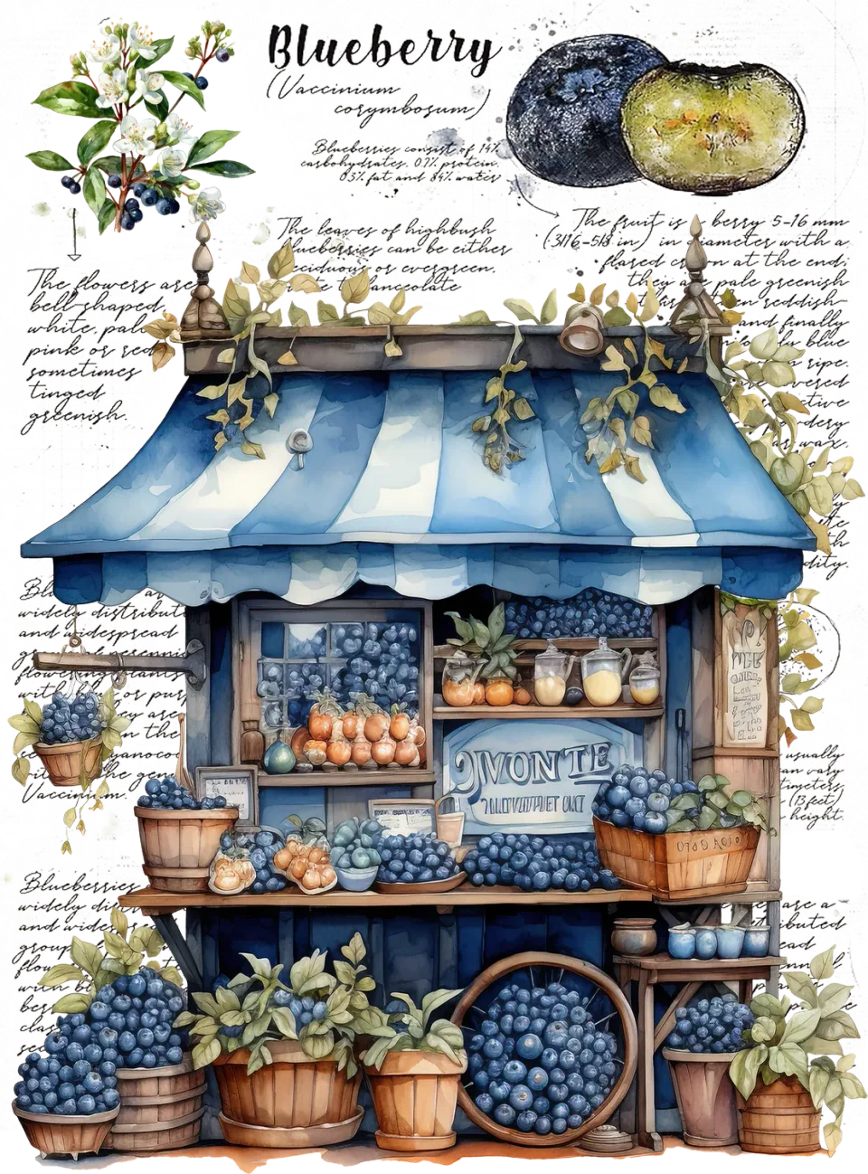 Avery Lane Gifts Vintage Blueberry køkkentekstil Fruit Cart blåbær