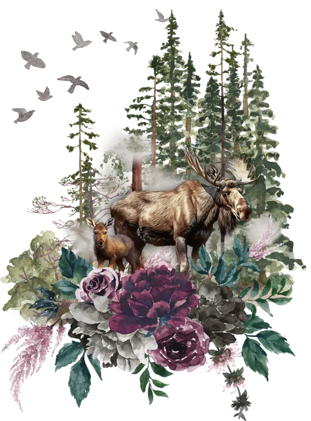 Avery Lane Gifts Moose Trees t-shirt vildmark bomuld