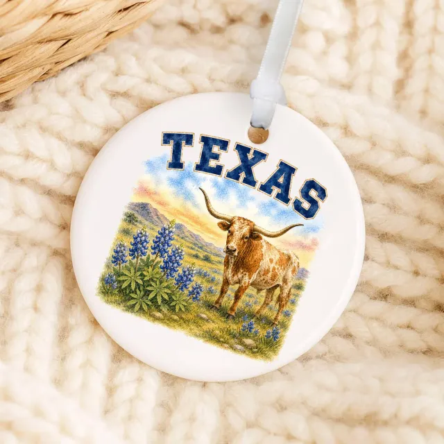 Avery Lane Gifts Texas julepynt porcelæn 7,6 cm