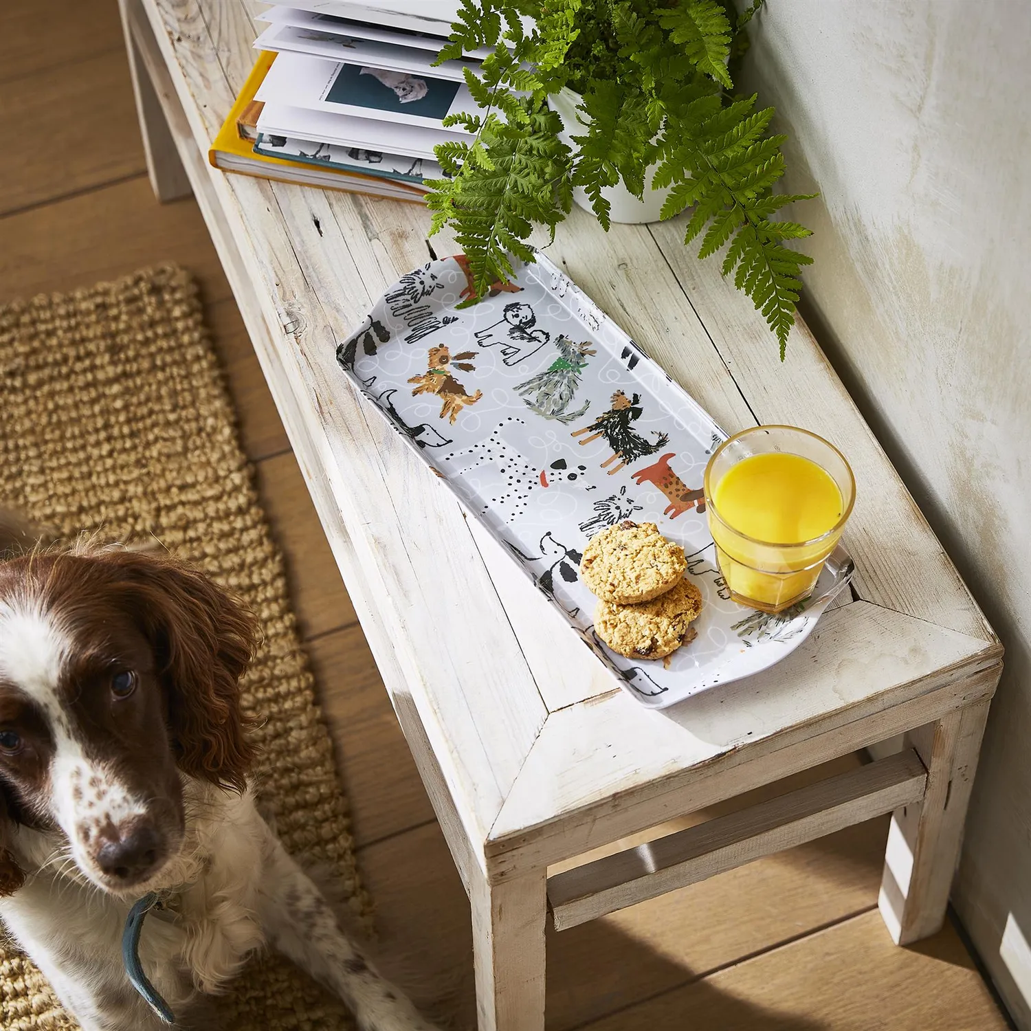 Ulster Weavers Dog Days serveringsbakke grå lille