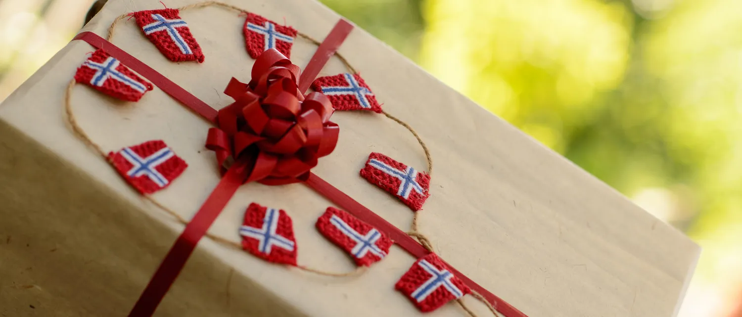 Solwang Norske Flag flagguirlande 10 stk bomuld